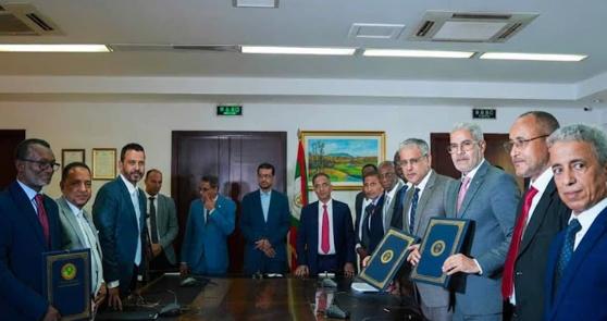 Mauritania Signs First Ever IPP Deal: A $300 Million Hybrid Solar-Wind Project...